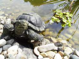 Teich von G.S. aus Weiten: 07.09.2003