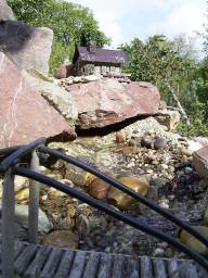 Teich von G.S. aus Weiten: 07.09.2003