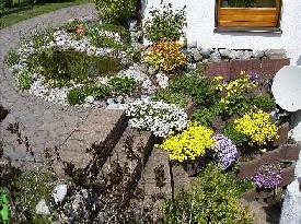 17.05.2004: Teich im Fr�hling 2004 (Bl�tenvielfalt im und um den Teich)