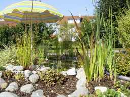 07.08.2003: Teich im Sommer 2003, mit Schutz gegen die gl�hend heisse Sonne