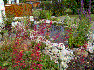 28.06.2003: Teich im Sommer 2003