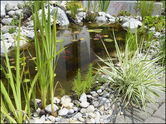 06.07.2003: Teich im Sommer 2003